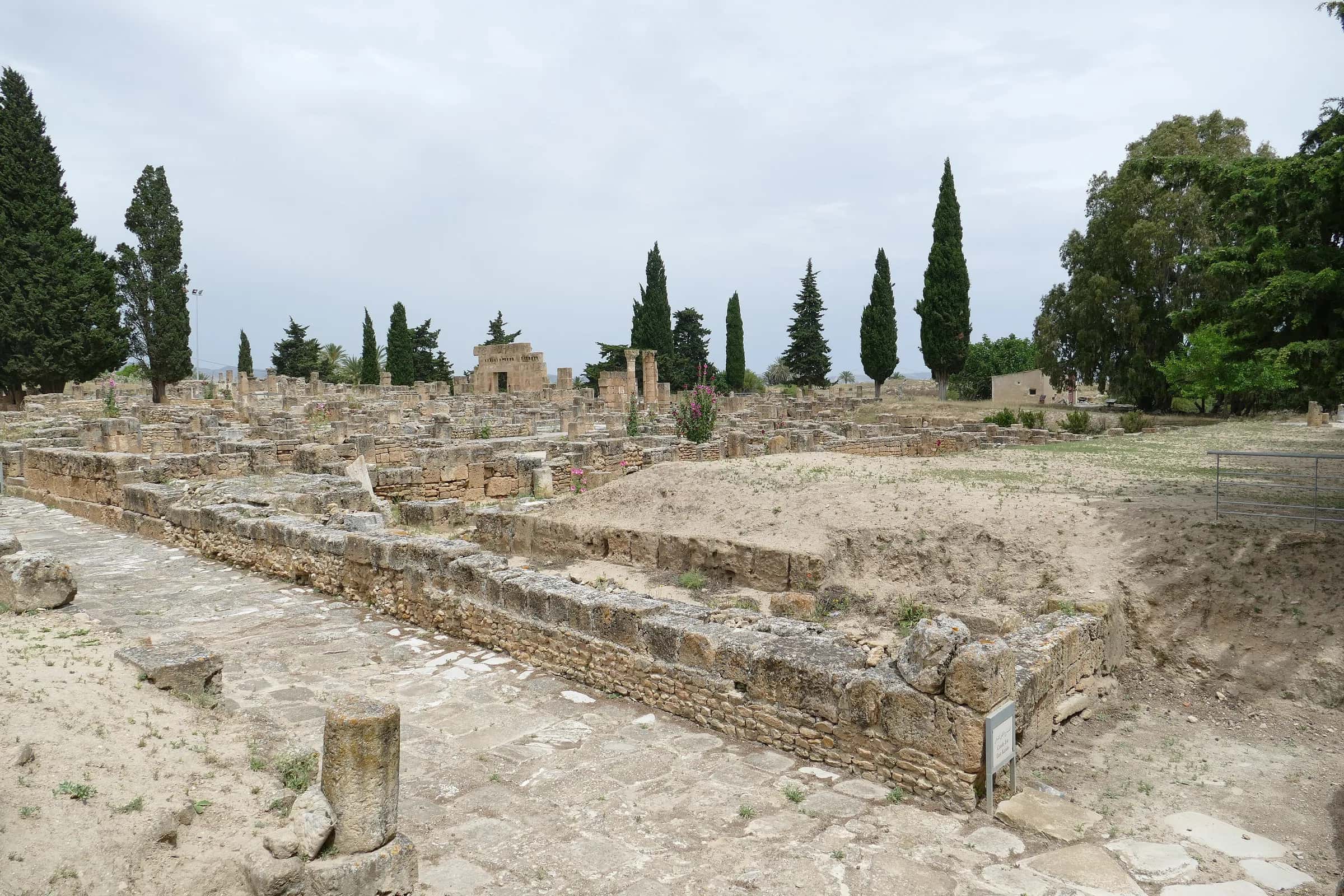 Il sito archeologico di Utica tra i cipressi