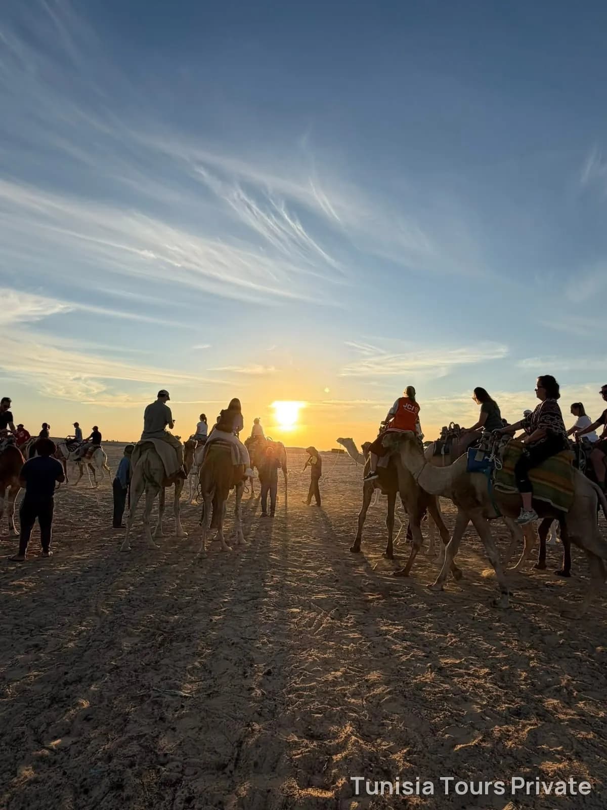 A camel caravan in silhouette against the desert sunset
