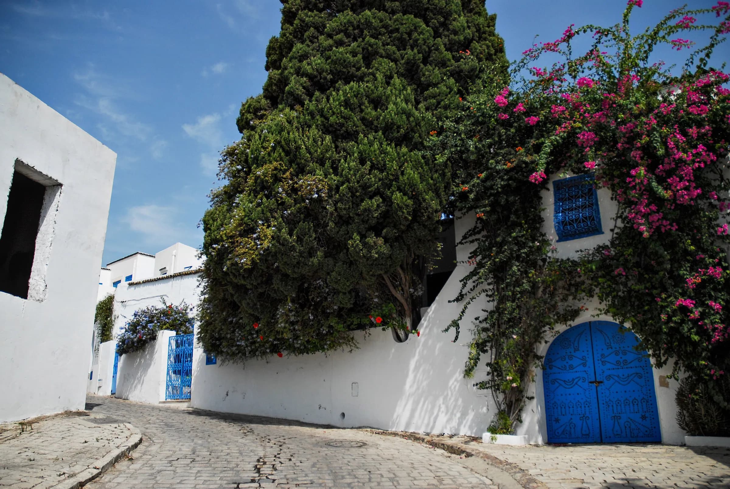 A blue studded door under bougainvillea on a cobbled street in Sidi Bou Saïd