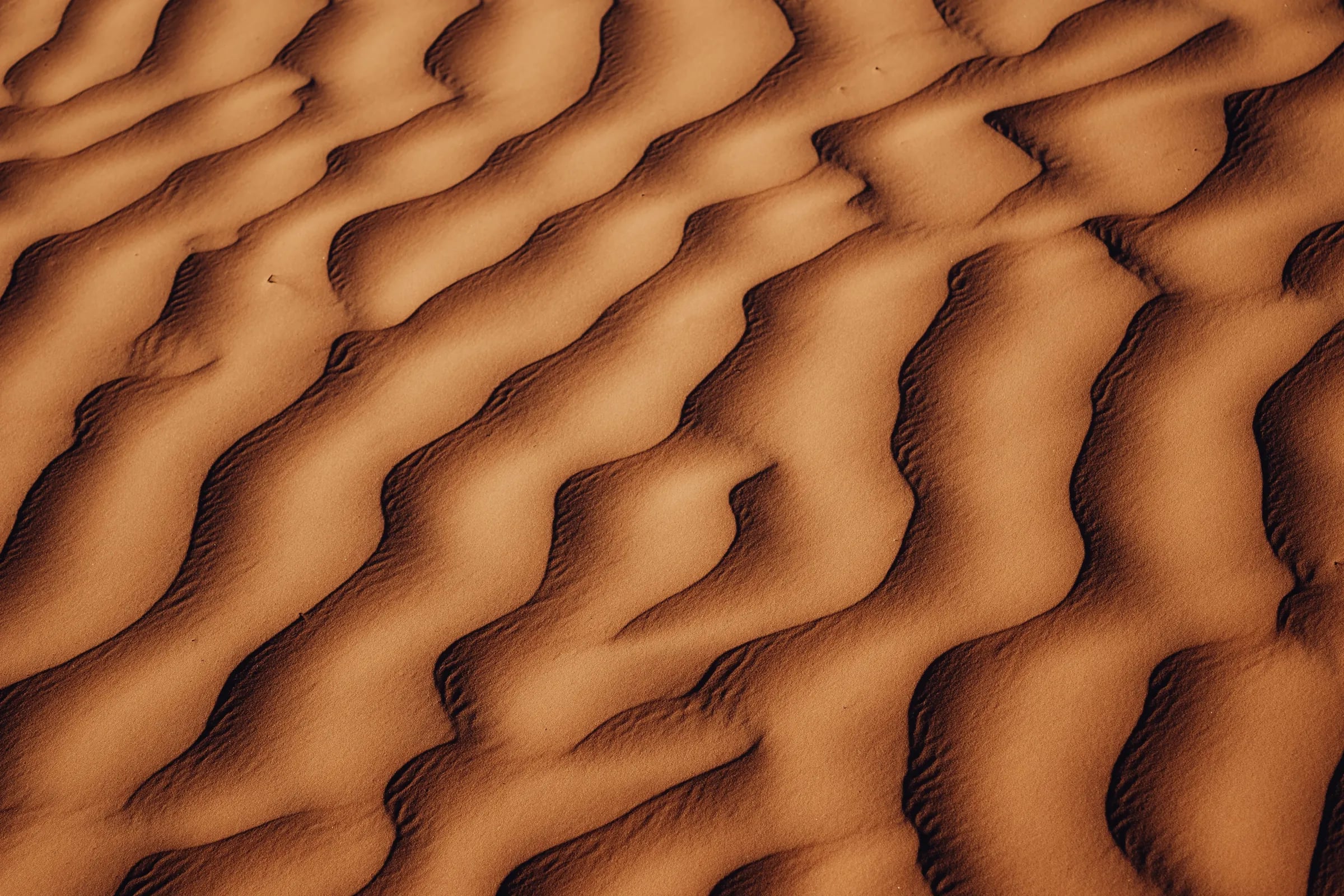 Dunes ondulées du Sahara tunisien vues d’en haut